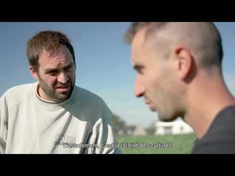 Technico-commercial